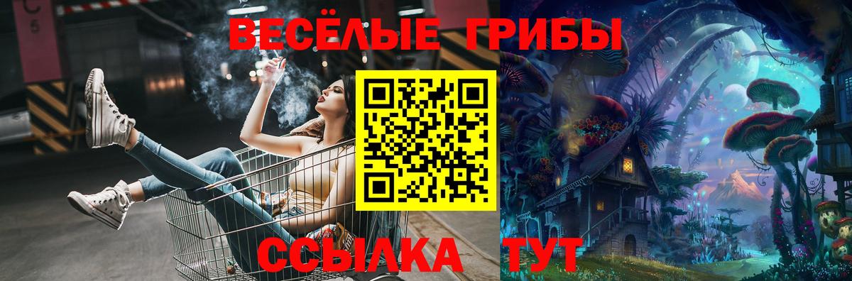 Псилоцибиновые грибы Psilocybine cubensis Минусинск